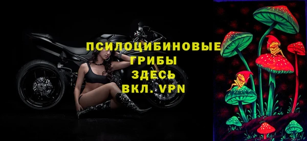ПСИЛОЦИБИНОВЫЕ ГРИБЫ Алексеевка