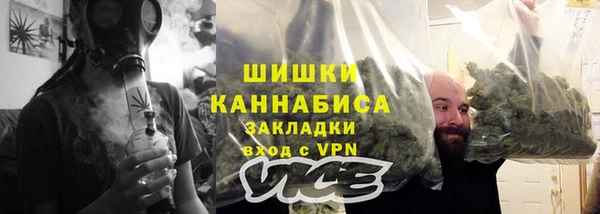ПСИЛОЦИБИНОВЫЕ ГРИБЫ Алексеевка