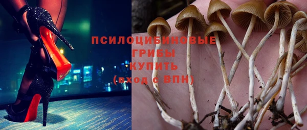 ПСИЛОЦИБИНОВЫЕ ГРИБЫ Алексеевка