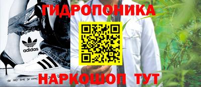 PSILOCYBIN Можга
