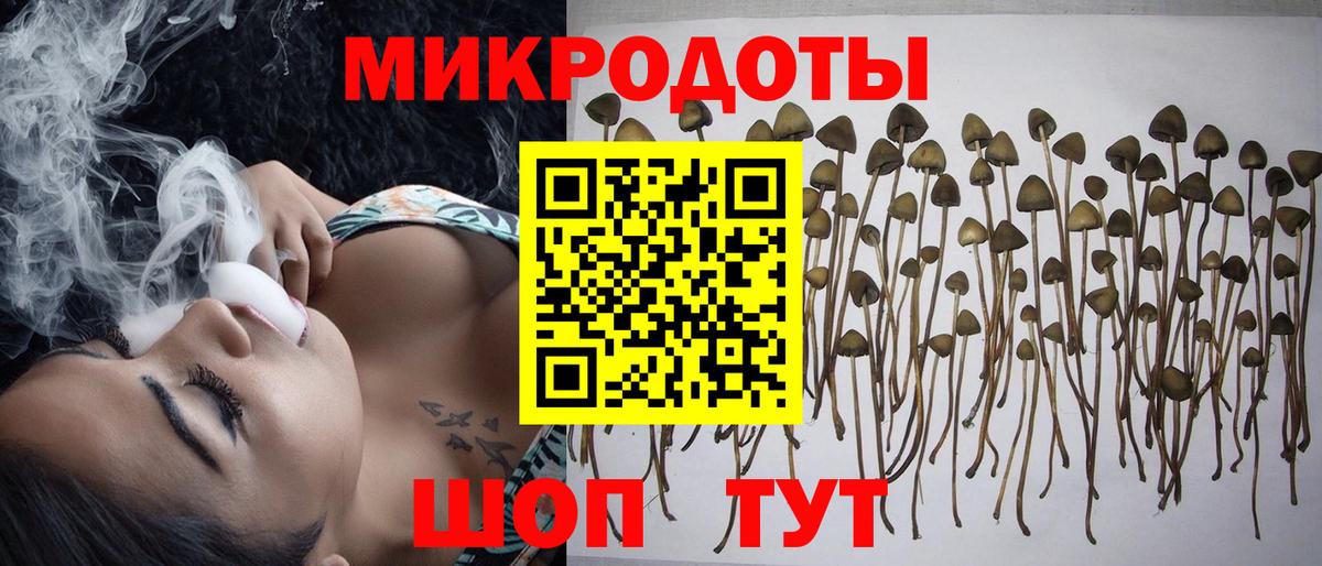 Псилоцибиновые грибы прущие грибы Туймазы