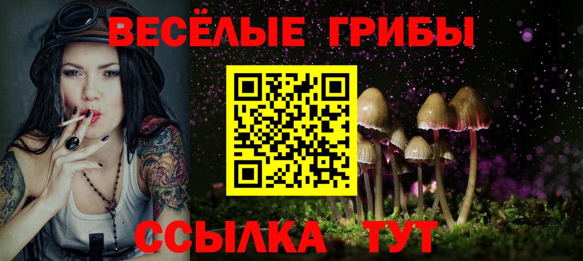 Псилоцибиновые грибы GOLDEN TEACHER  Вход с VPN  где купить   Туймазы 